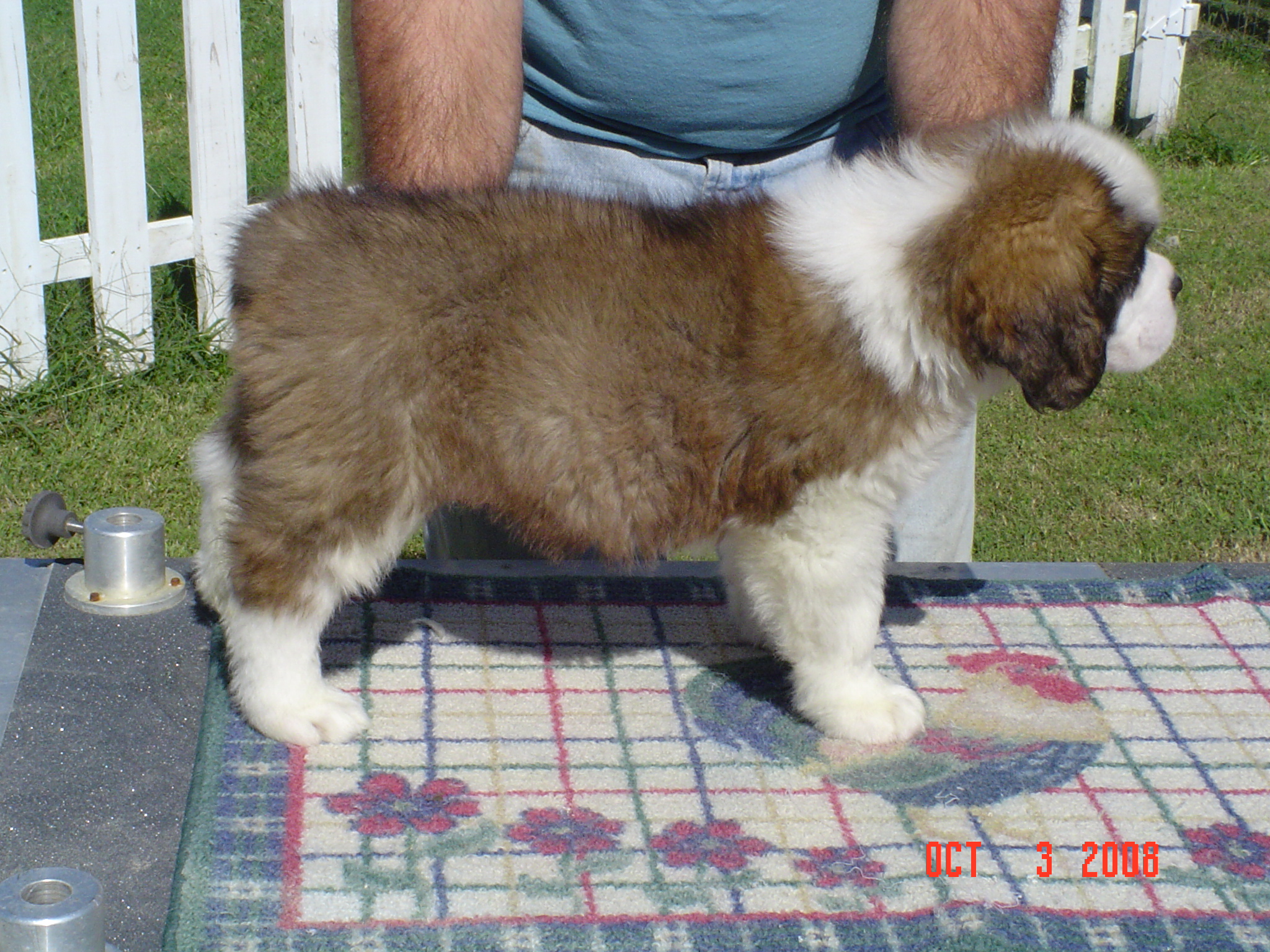 DSC01460